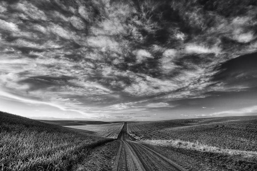 Back Road Solitude Black and White Photograph by Mark Kiver