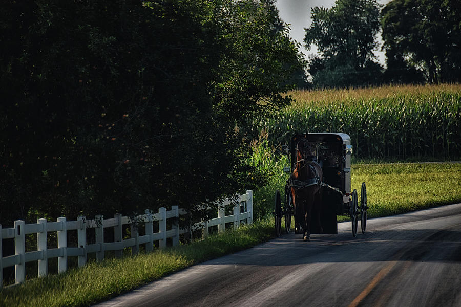 Back Roads in Lancaster Photograph by Tricia Marchlik