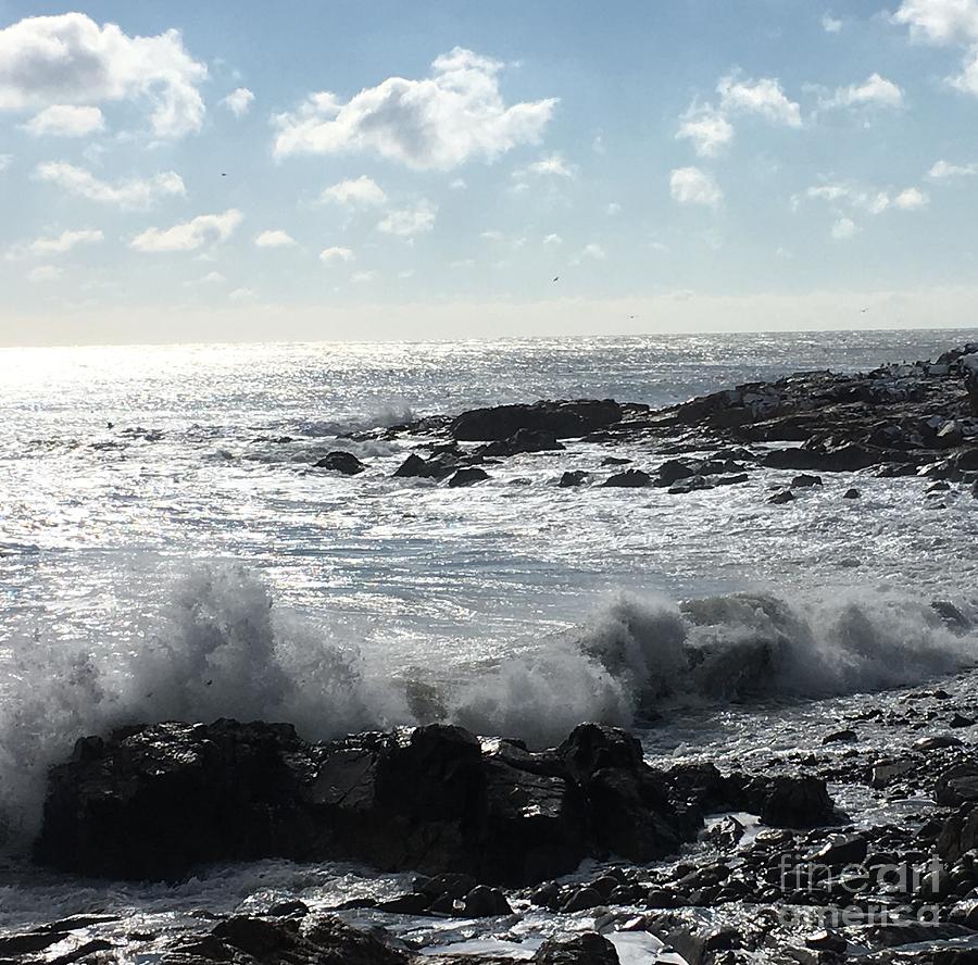 Back Shore, After the Storm Photograph by Kathleen Staab - Fine Art America