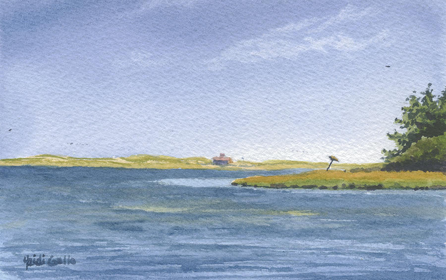 Back Side of Hog Island Painting by Heidi Gallo