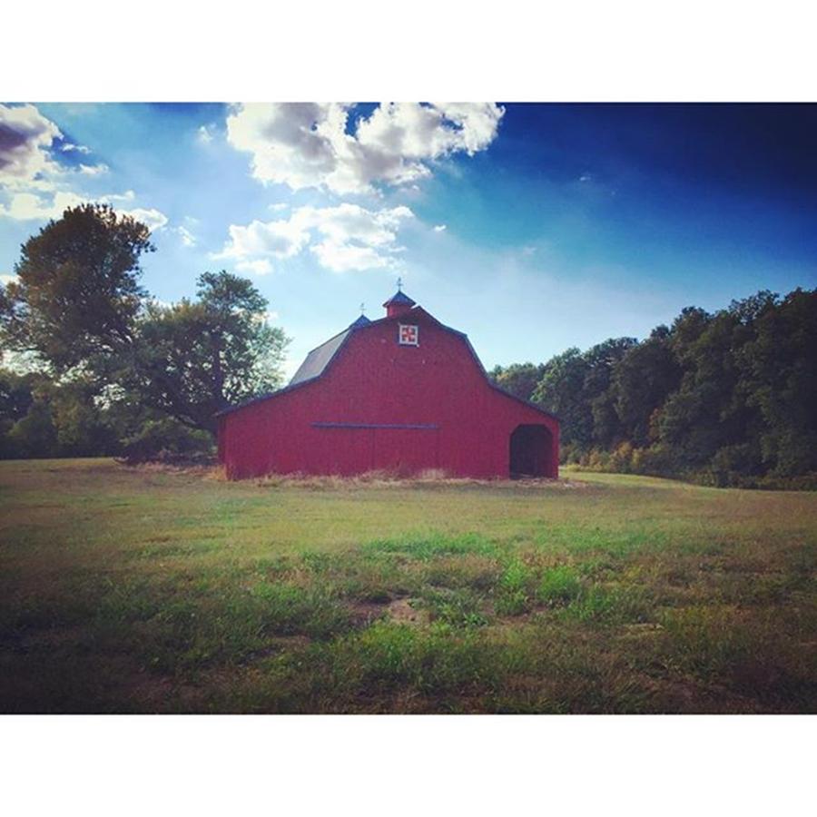 Barn Photograph - Back To My Roots by Haley Church
