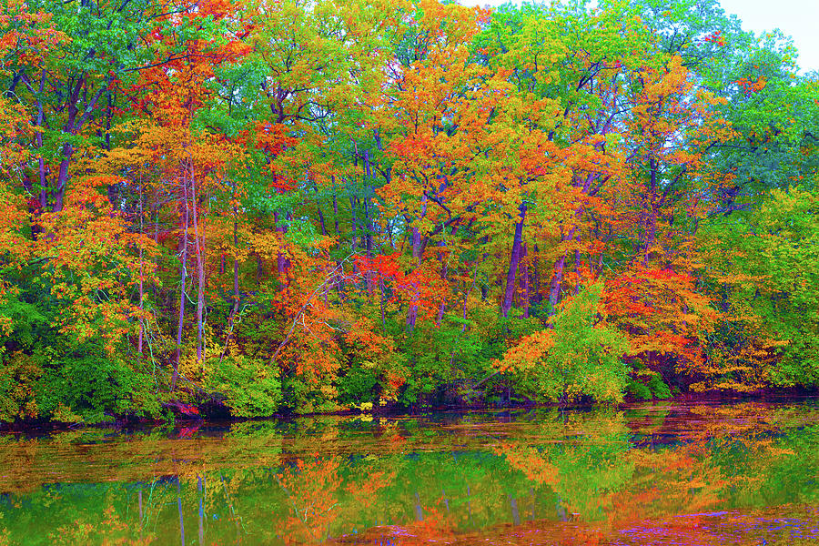 Back to the 60s A Psychedelic Autumn Photograph by Joe Benning - Fine ...