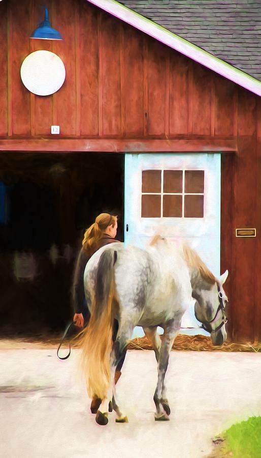 Back To The Barn Photograph by Alice Gipson