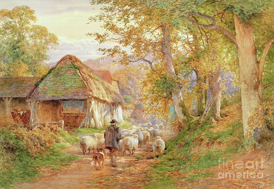Sheep Painting - Back to the Fold by Charles James Adams