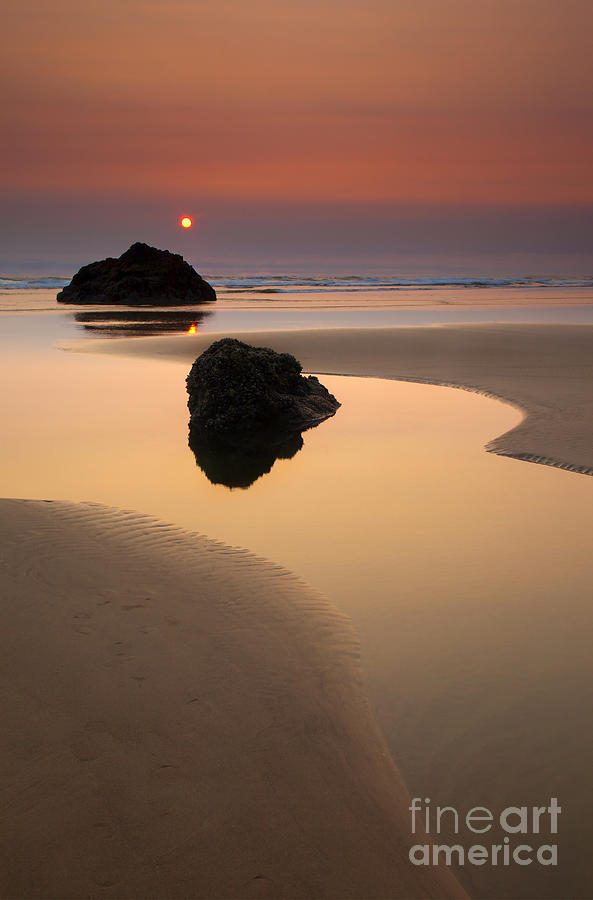 Reflections of the Sea Photograph by Michael Dawson