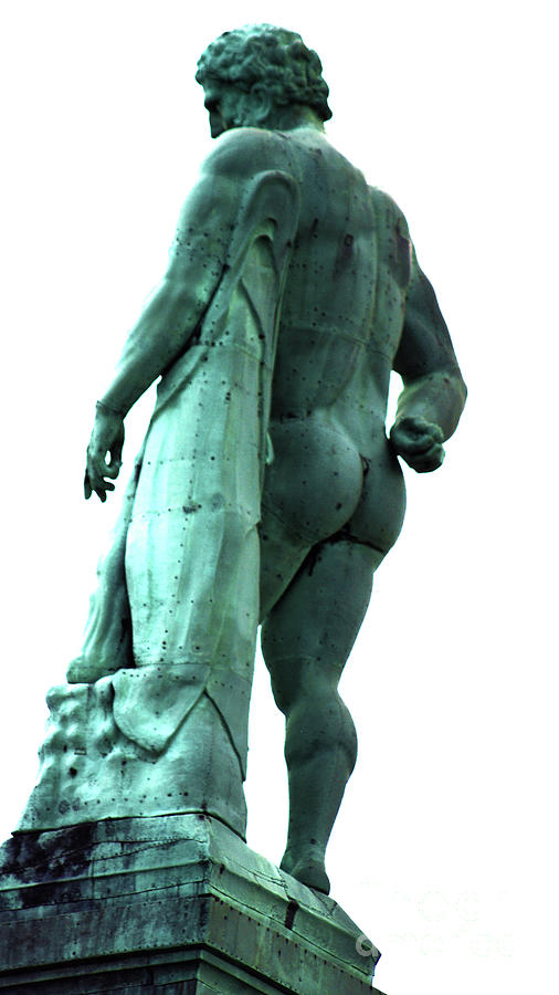 Back View From Great Hercules Photograph