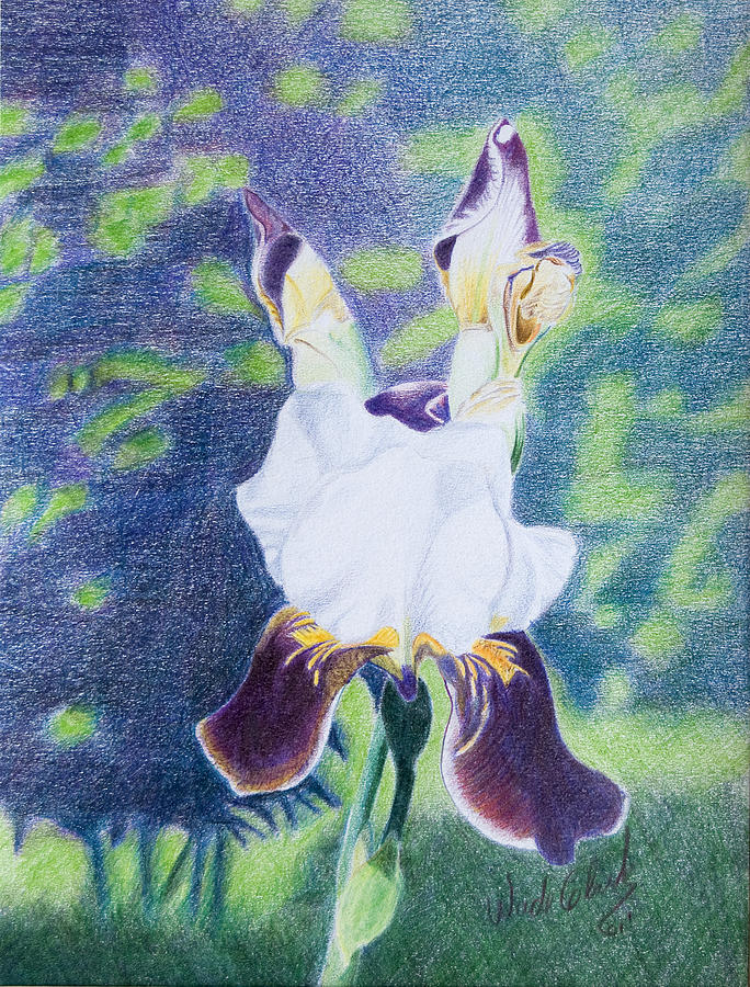 Back yard iris Painting by Wade Clark
