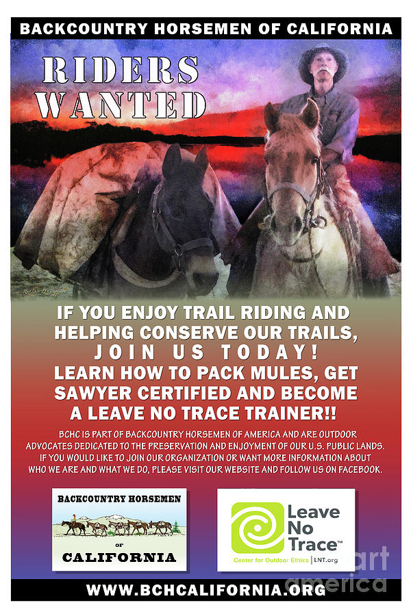 Backcountry Horsemen Join Us Poster II Digital Art by Rhonda Strickland