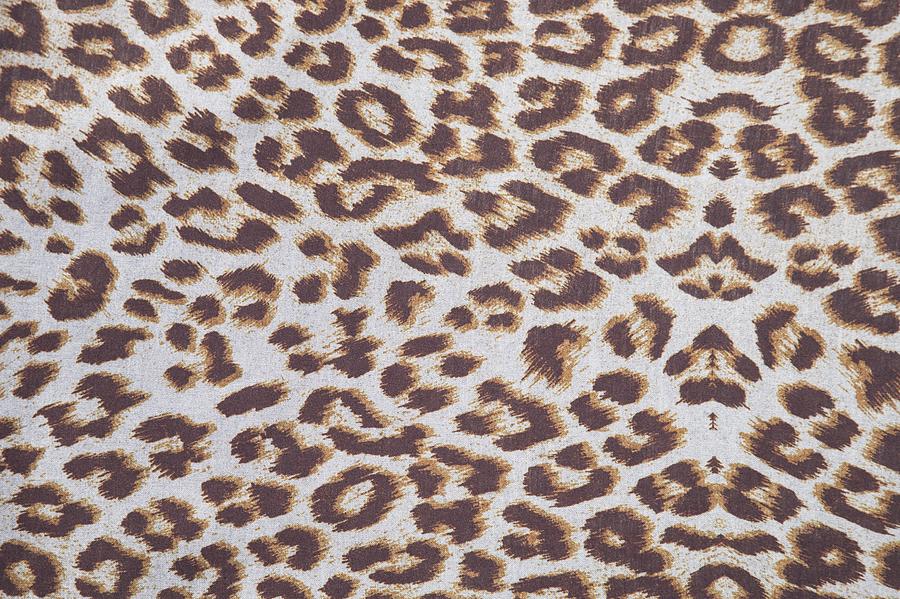 Background of animal print Photograph by Artpics - Fine Art America