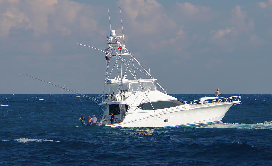 Backing down on a fish Photograph by Chris Rabil - Fine Art America