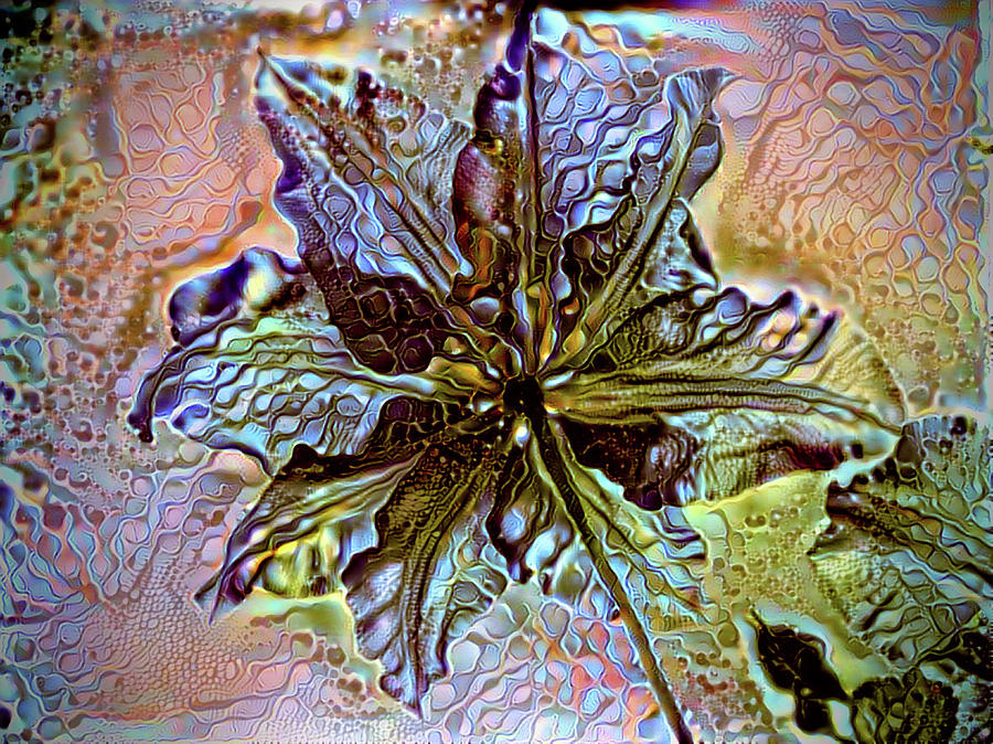 Backlight of the flower Mixed Media by Lilia S