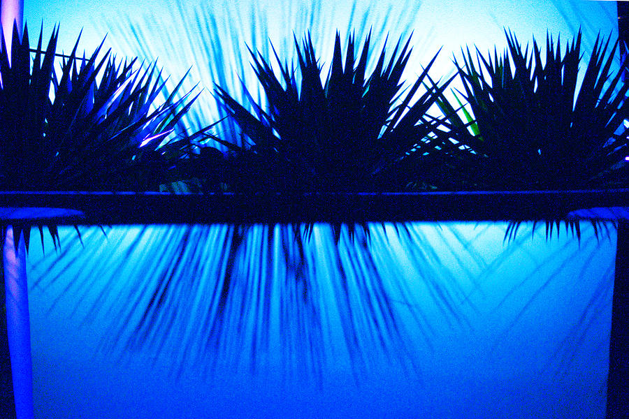 Blue Photograph - Backlit by Blue by Richard Henne