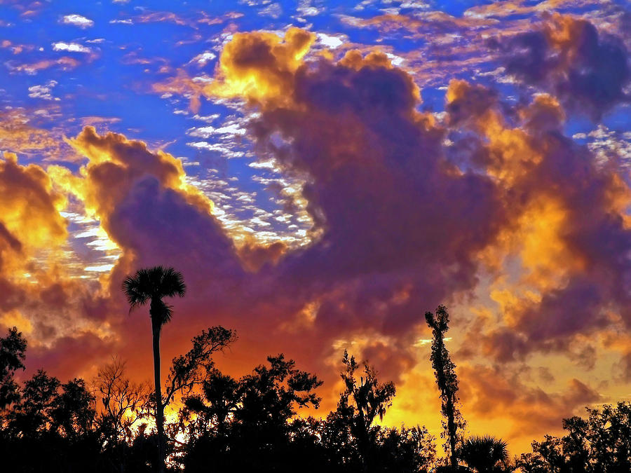 Backlit Clouds Photograph by Sally Weigand