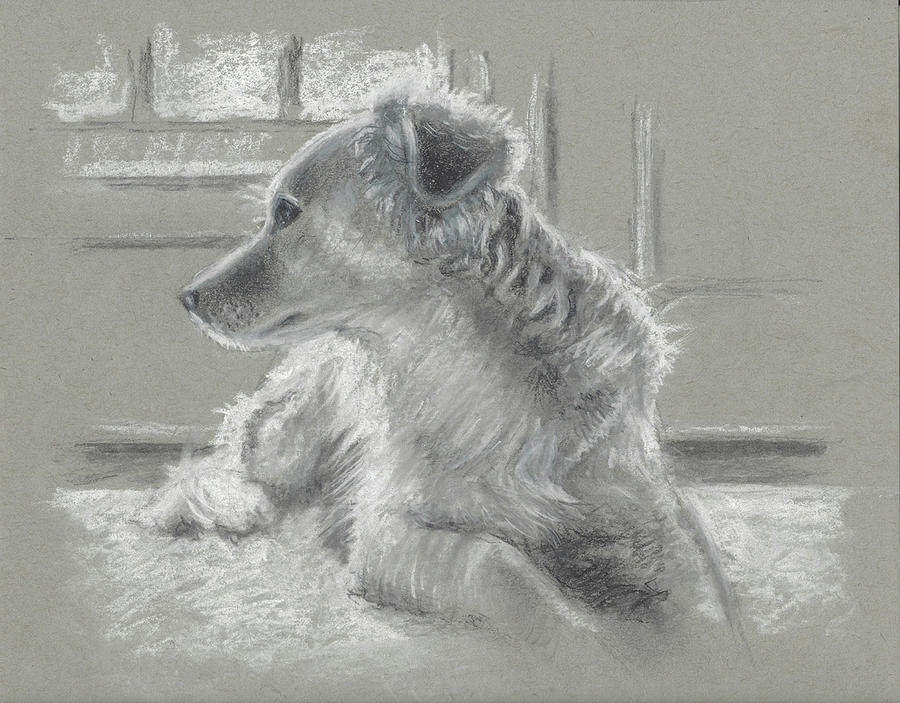 Backlit Dog Painting by Sarah Parks