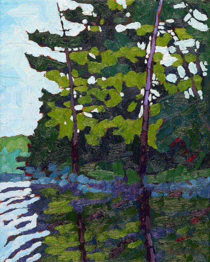 Backlit Pines Painting by Phil Chadwick