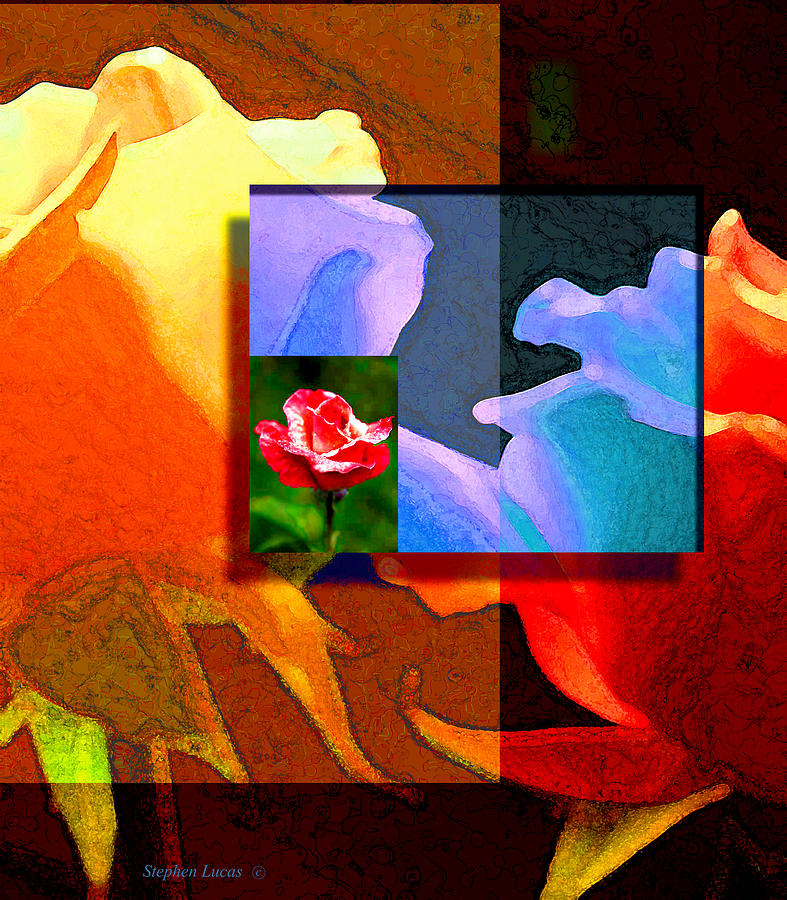 Modern Digital Art - Backlit Roses by Stephen Lucas Modern Digital Art - Backlit Roses by Stephen Lucas