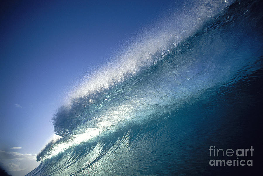 Backlit Translucent Wave Photograph by Vince Cavataio - Printscapes