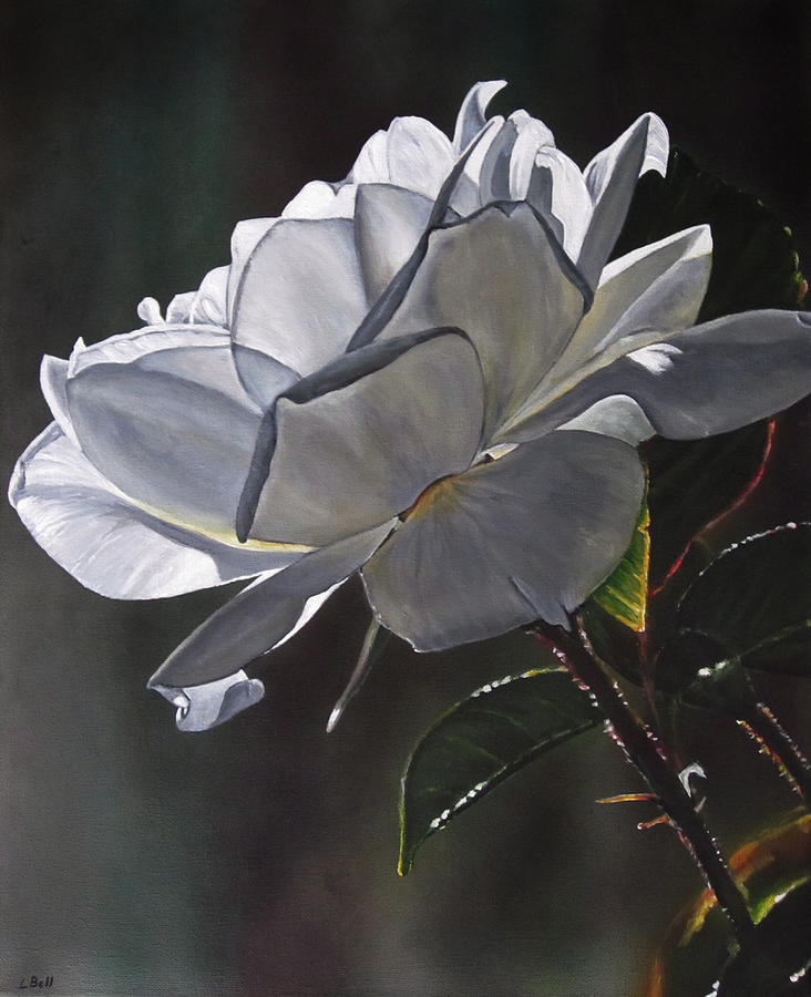 Flowers Still Life Painting - Backlit Single White Rose by Lillian  Bell