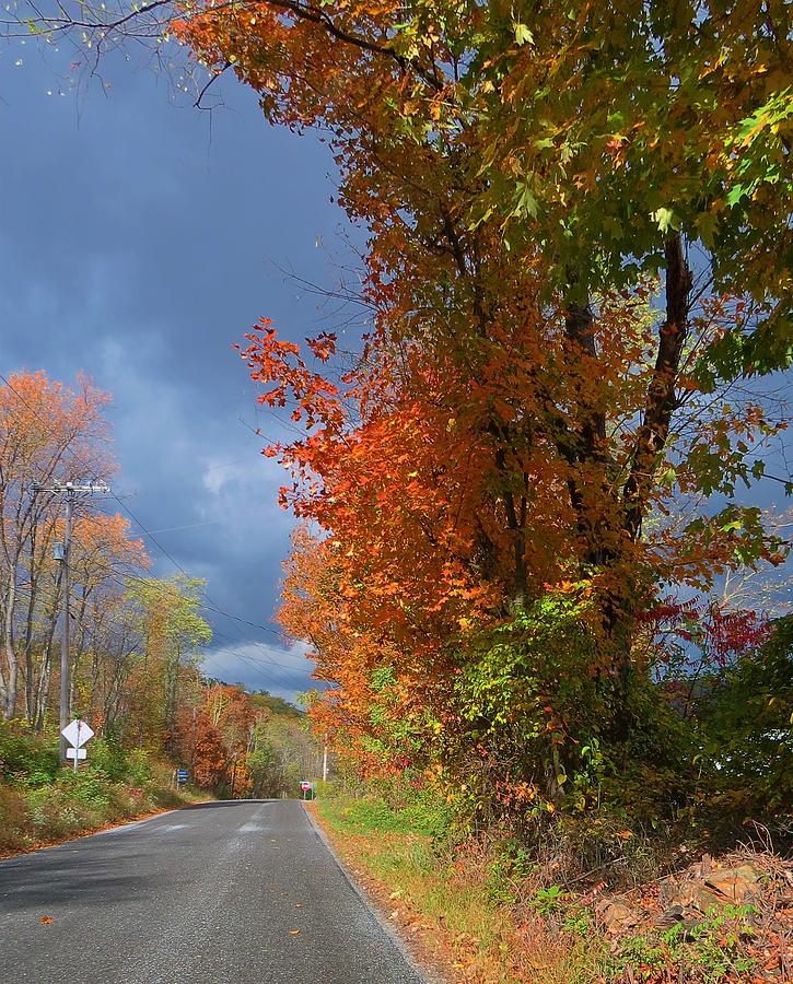 Fall Photograph - Backroad Country in Pennsylvania by Jeanette Oberholtzer