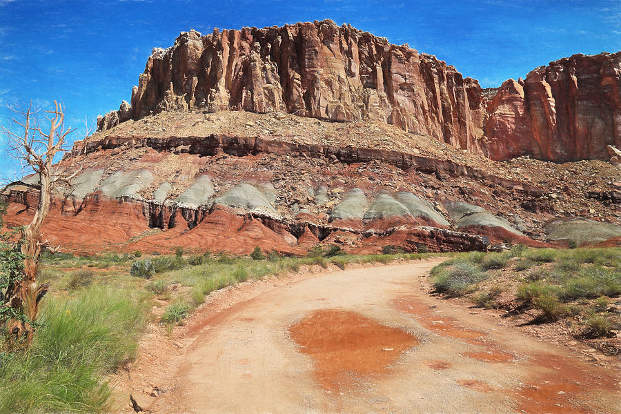 Landscape Photograph - Backroads At Capital Reef by Donna Kennedy