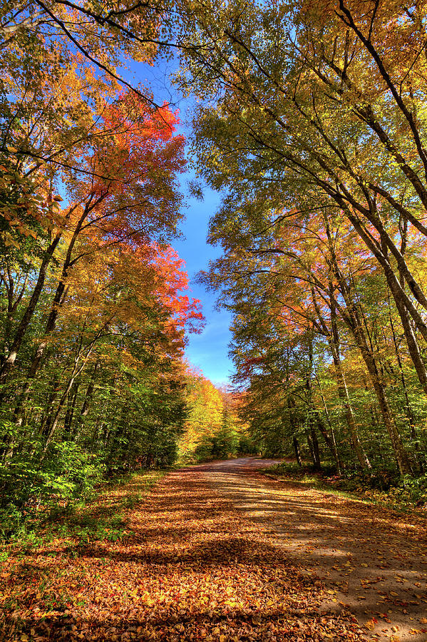 Backroads of Autumn Photograph by David Patterson