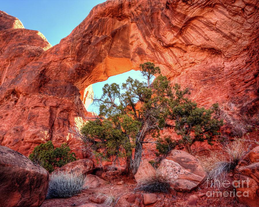 Backside of Double Arch Photograph by Roxie Crouch