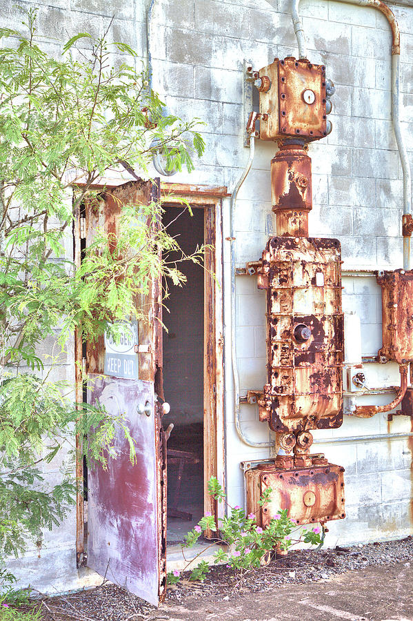 Backside Rust Photograph by Gordon Elwell