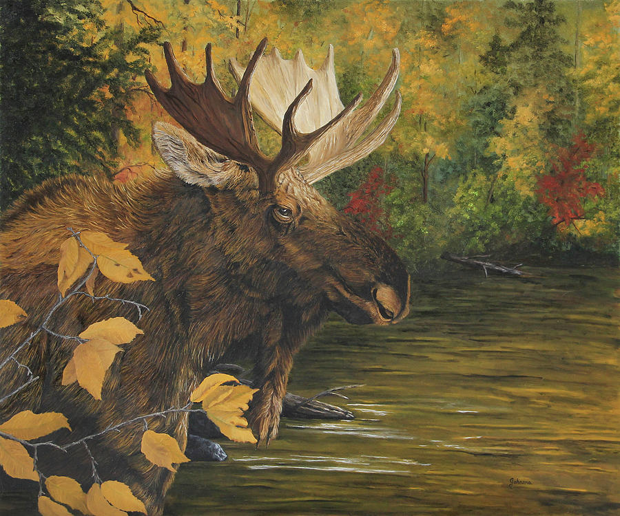 Backwater In Autumn - Moose Painting by Johanna Lerwick