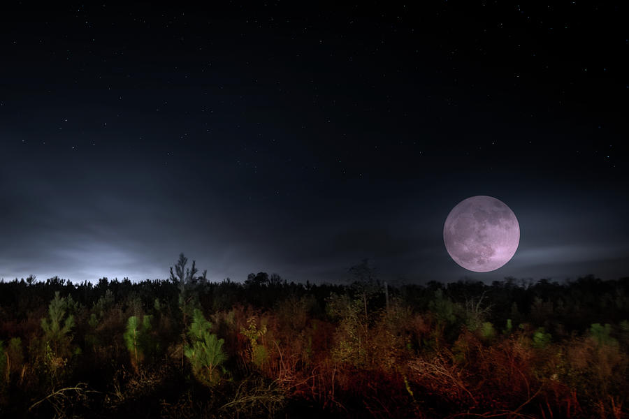 Backwoods Moon Photograph by Mark Andrew Thomas