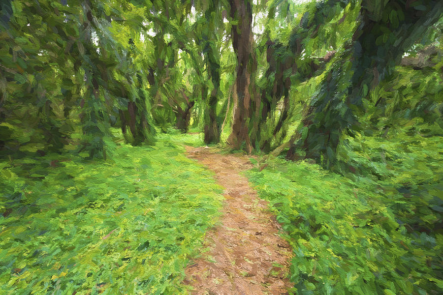 Backwoods Path II Digital Art by Jon Glaser
