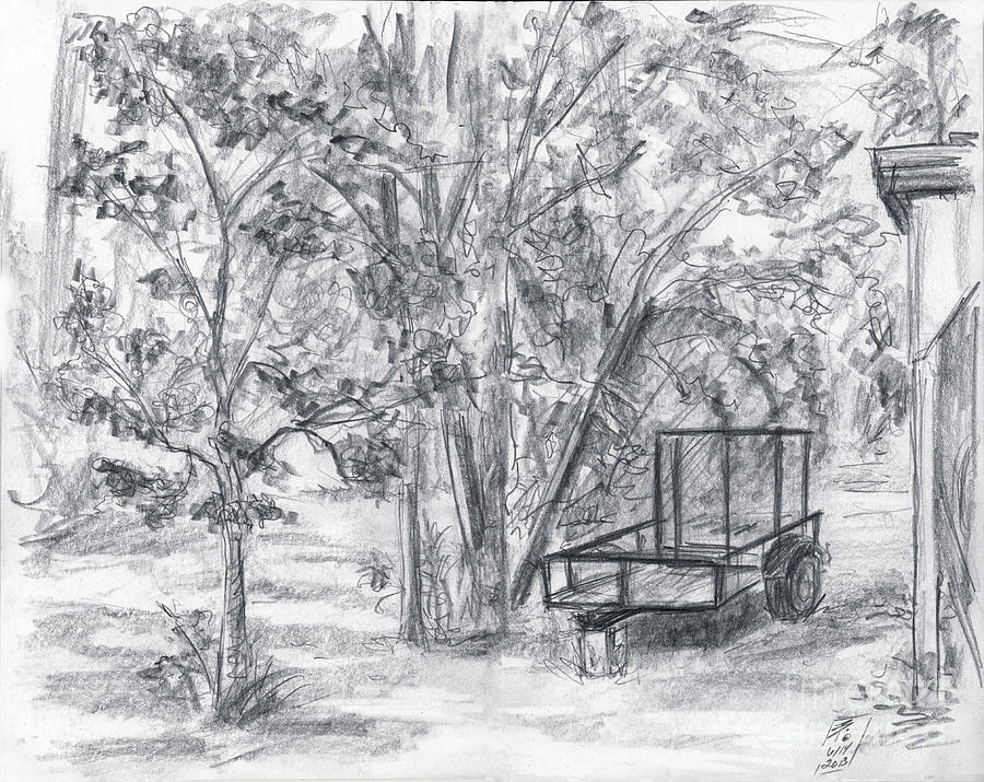 Backyard Drawing by Brandy Woods