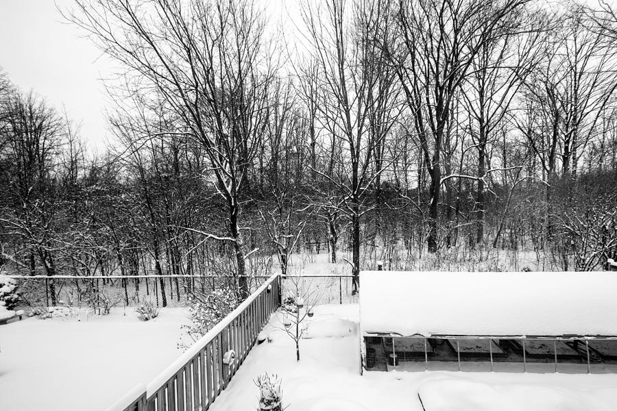 Backyard in the winter Photograph by Nick Mares