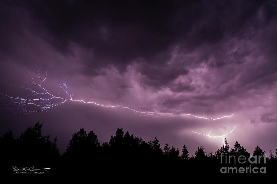 Lumière de jardin: Comment éclairer votre cour arrière de manière sûre et esthétique - BackyarD Lightning John R Stephens