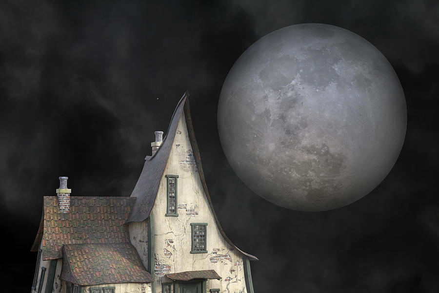 Surrealism Mixed Media - Backyard Moon Super Realistic  by Betsy Knapp