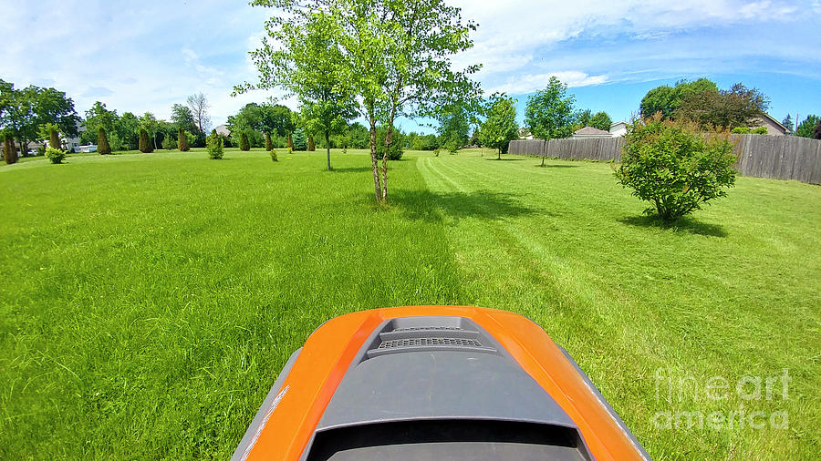 Backyard Photograph - Backyard Mowing by Ricky L Jones Backyard Photograph - Backyard Mowing by Ricky L Jones