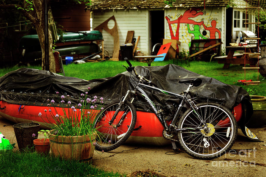 Backyard Neighborhood Bicycle Photograph by Craig J Satterlee