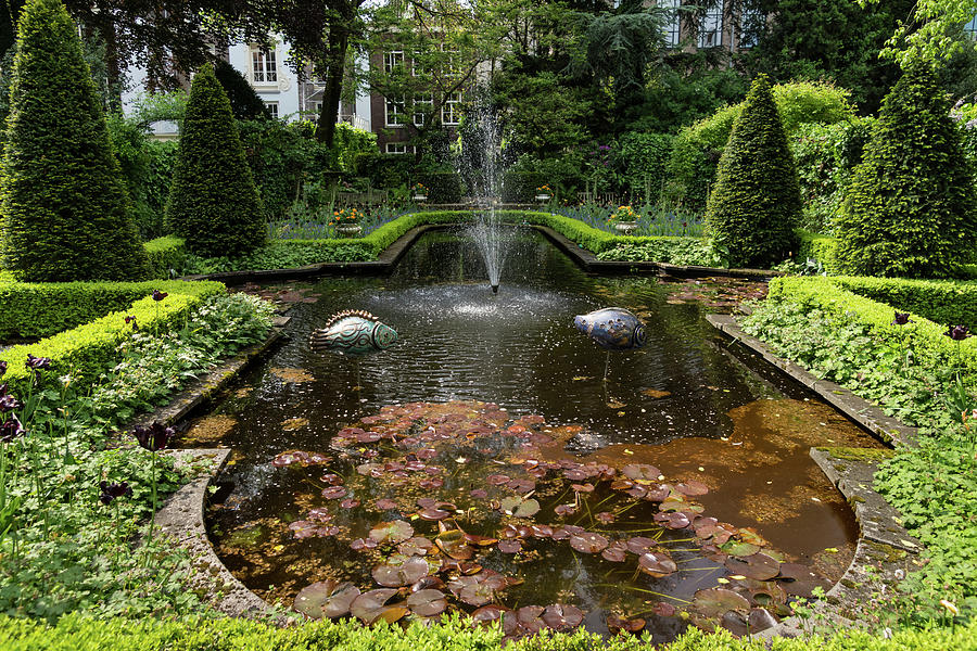Backyard Oasis Symmetry - Gracious Garden Fountain Photograph by Georgia Mizuleva