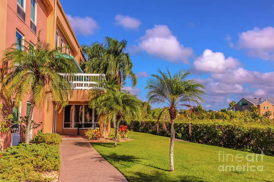 Backyard of resort in Florida Photograph by Claudia M Photography