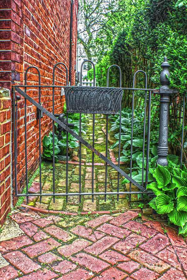 Side Yard Rod Iron Gate Photograph by Sandy Moulder