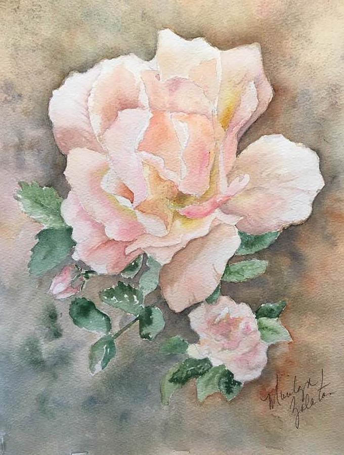 Backyard Rose Painting by Marilyn Zalatan