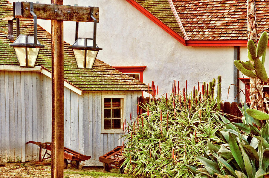Backyard - San Diego - Color Photograph by Mitch Spence