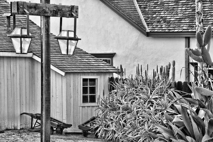 Backyard - San Diego - Black and White Photograph by Mitch Spence
