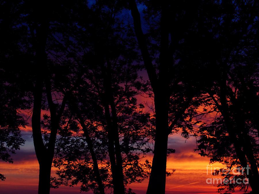 Sunset Photograph - Backyard Sunset by Lisa Knauff