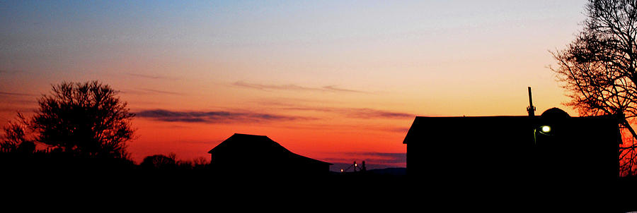 Backyard Sunset Photograph by Lori Tambakis