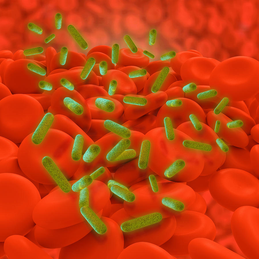 Bacterial Infection Digital Art - Bacterial infection - 3d rendered illustration by Xt Render