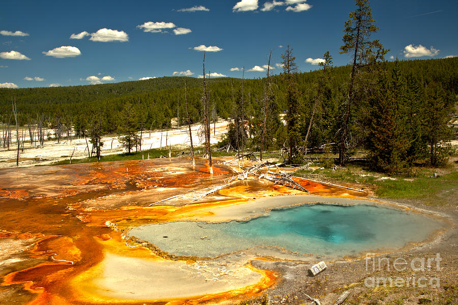 Bacterial Mats At Firehole Spring Photograph by Adam Jewell