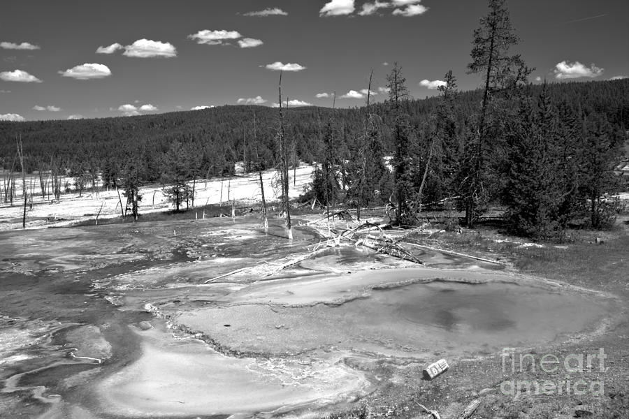Bacterial Mats At Firehole Spring Black And White Photograph by Adam Jewell