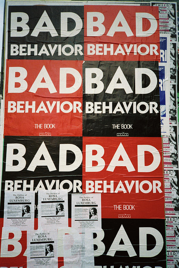 Bad Behavior Photograph by Frank DiMarco