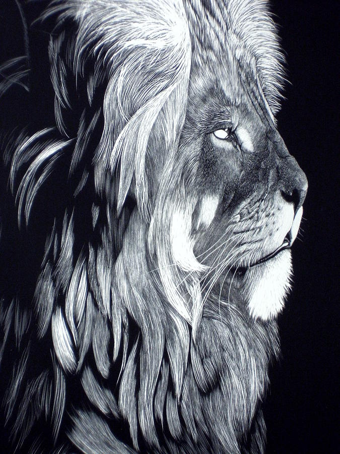 Lion Drawing - Bad Hair Day by Mike Hinojosa