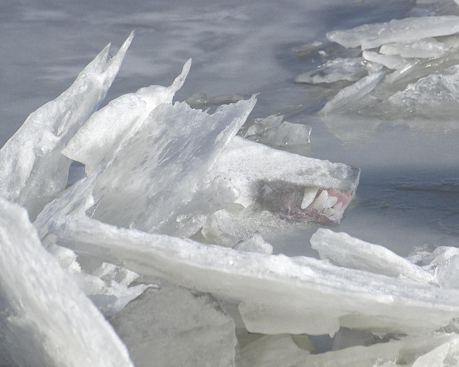 Bad Ice Photograph by Ross Powell